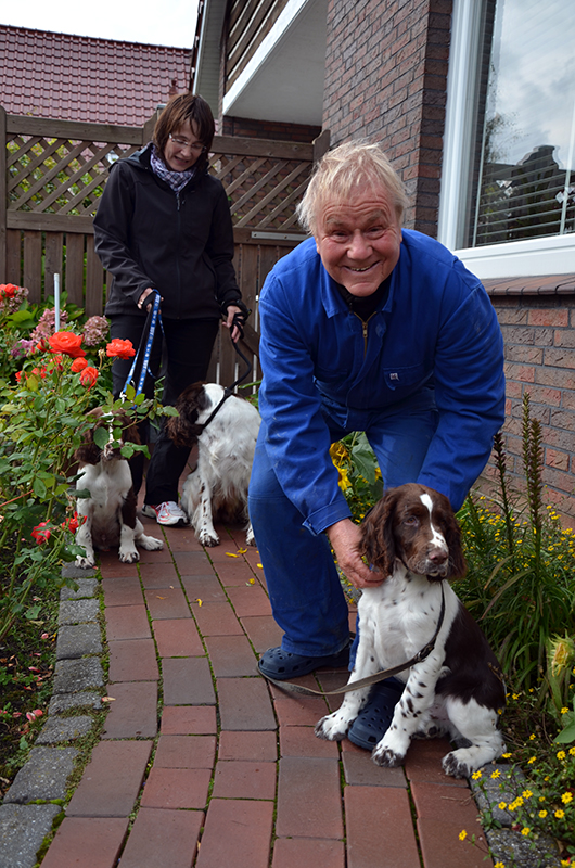 Hunde Welpe Antonio Banderas im Oktober 2012