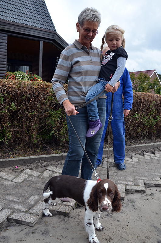 Hunde Welpe Antonio Banderas im Oktober 2012