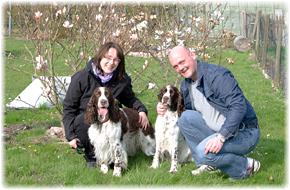 Welpenkauf, Welpenvermittlung, Jagdspanielklub, Jagdspaniel