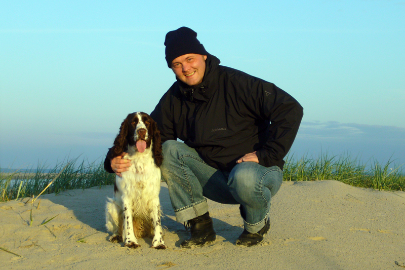 Springerspaniel Hund Welpe